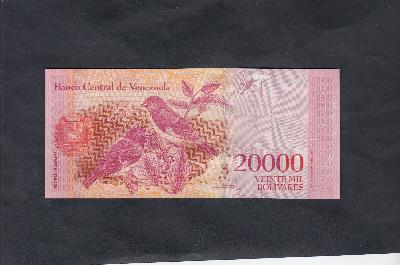 Beschrijving achterzijde: BIRDS